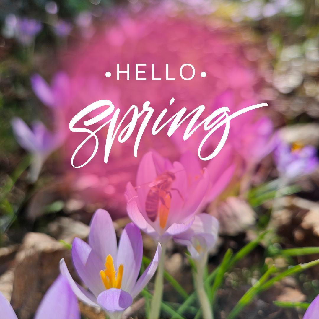 Willkommen Frühling
